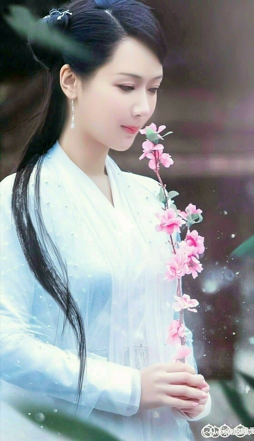 天乩之白蛇传说