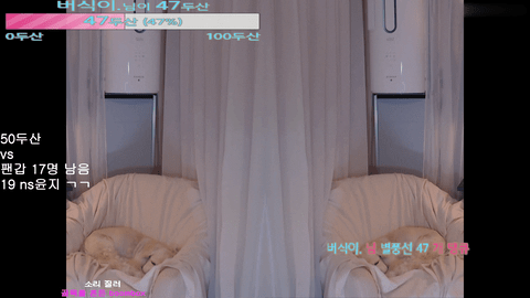 Afreecatv핑텐(BJ平滕)2021年6月19日Sexy Dance224751-秀人集