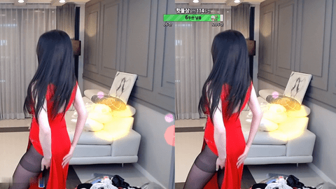 AfreecaTV呆梦(BJ뚱미)2021年10月9日舞蹈剪辑232208-秀人集
