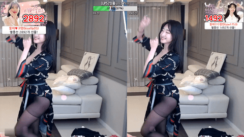 AfreecaTV呆梦(BJ뚱미)2021年12月1日舞蹈剪辑202235-秀人集